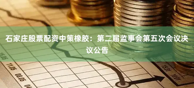石家庄股票配资中策橡胶：第二届监事会第五次会议决议公告