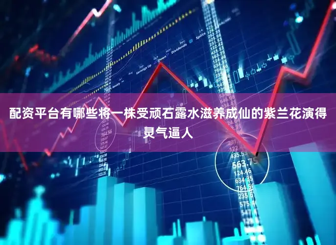 配资平台有哪些将一株受顽石露水滋养成仙的紫兰花演得灵气逼人