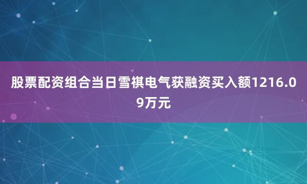股票配资组合当日雪祺电气获融资买入额1216.09万元